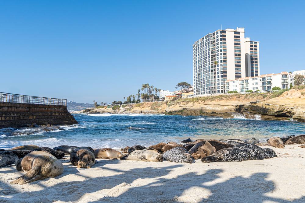 30K / 60K / 90K Maintenance in La Jolla, CA 92037, 92093, 92121, 92122