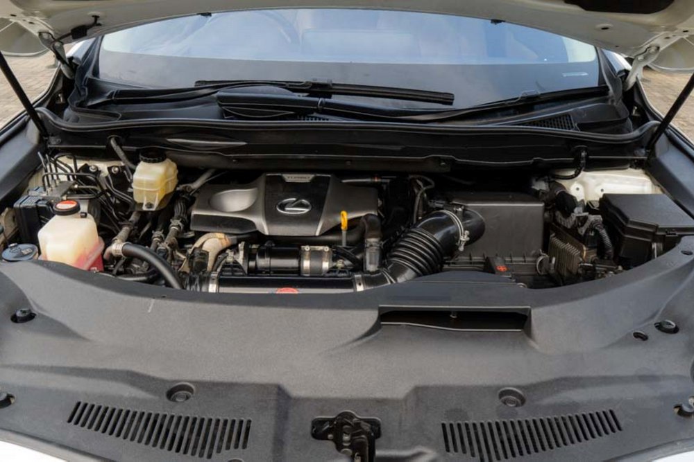 Engine & Powertrain