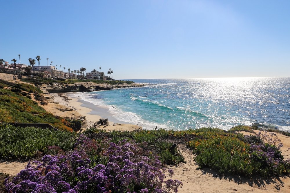 Diesel Engine Repair in La Jolla, CA